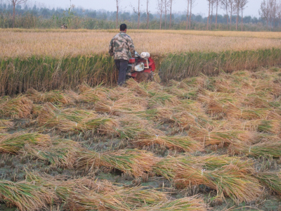 �ո�����C�xُ�T��